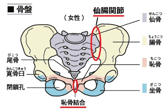 画像の説明