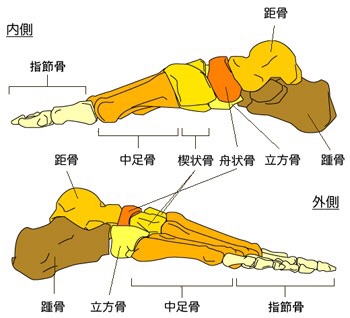 画像の説明