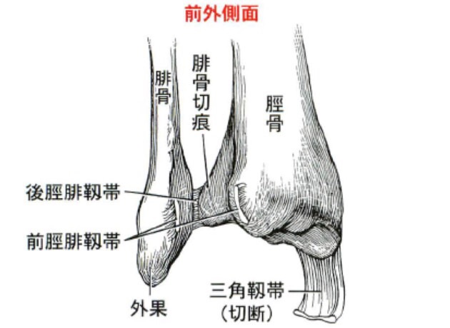 画像の説明