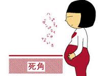 画像の説明